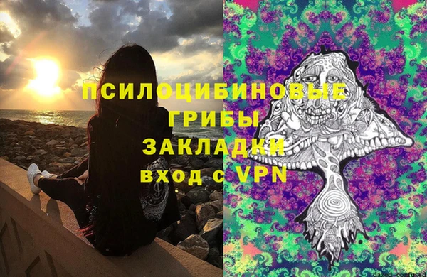 бошки Балахна