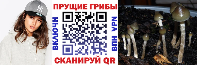 Галлюциногенные грибы мухоморы Печора